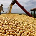 Preço da soja cede no Brasil pressionado pelo câmbio e boa oferta nacional Preço da soja cede no Brasil pressionado pelo câmbio e boa oferta nacional