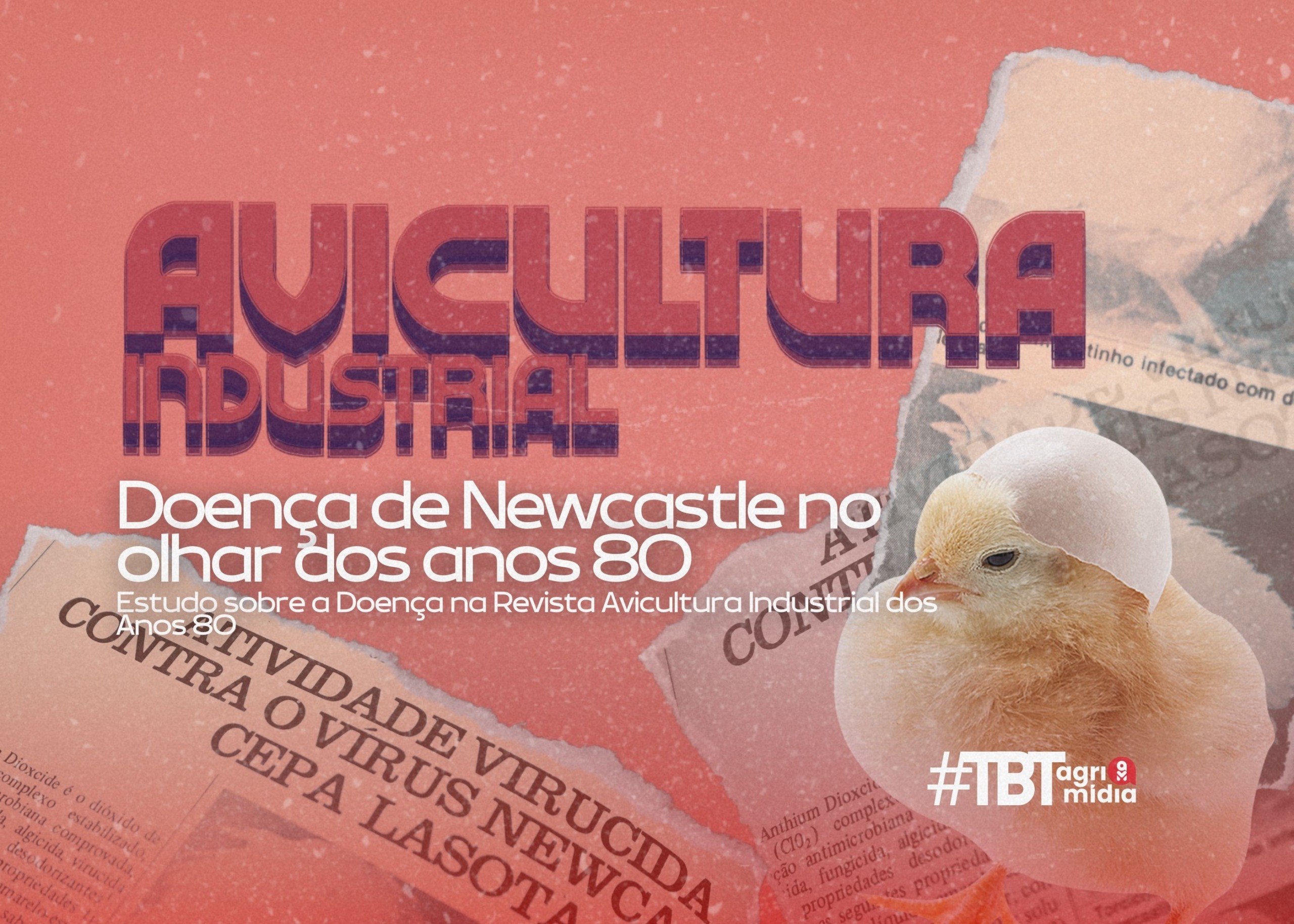#TBTAgrimidia: Estudo sobre a Doença de Newcastle na Revista Avicultura Industrial dos Anos 80 #TBTAgrimidia: Estudo sobre a Doença de Newcastle na Revista Avicultura Industrial dos Anos 80