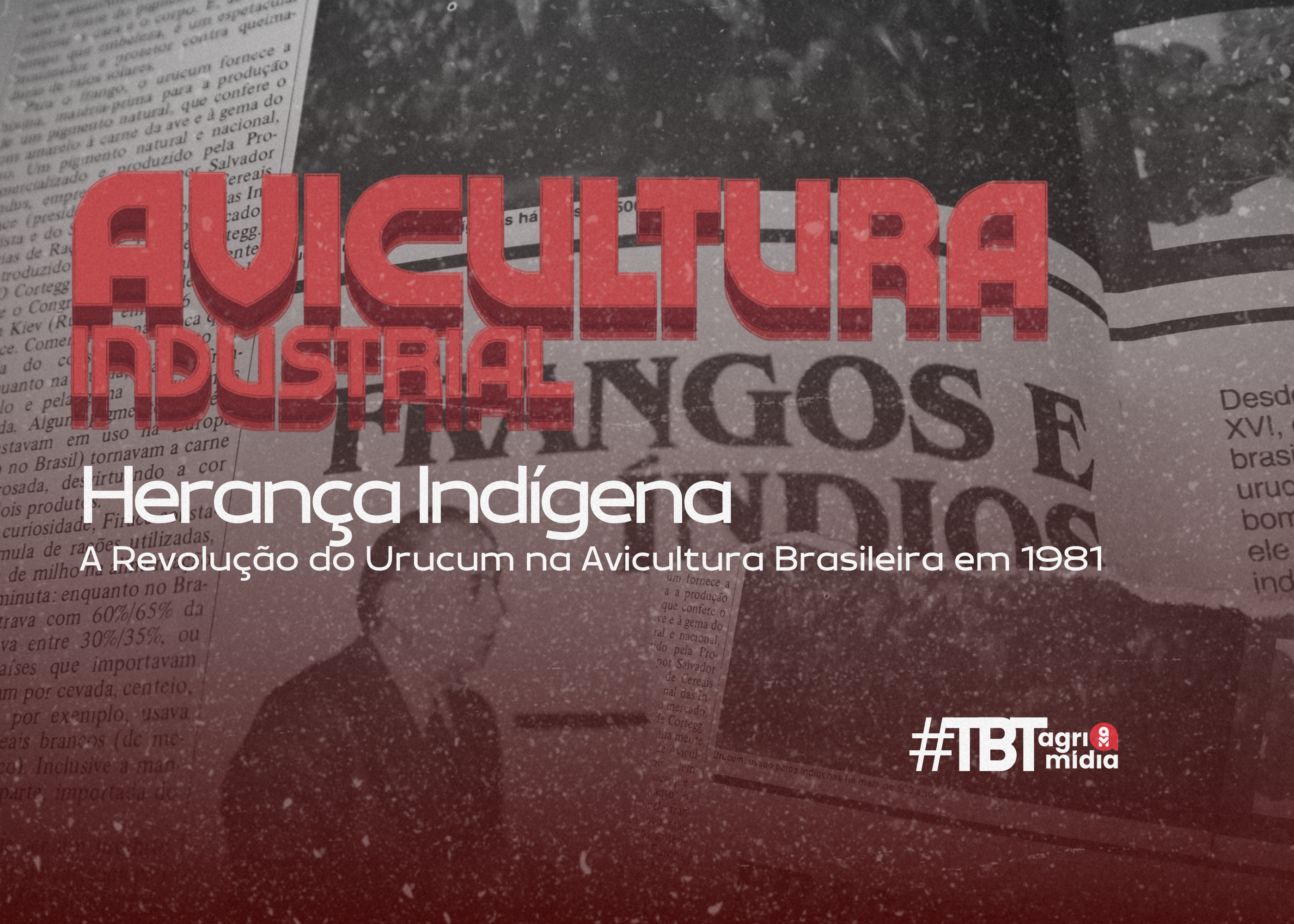 #TBTAgrimidia: A Revolução do Urucum na Avicultura Brasileira #TBTAgrimidia: A Revolução do Urucum na Avicultura Brasileira