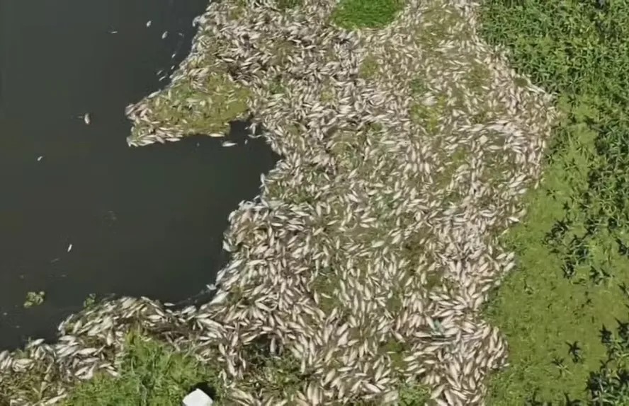 Crédito de R$ 1 Milhão é Liberado para Pescadores Devido à Tragédia no Rio Piracicaba