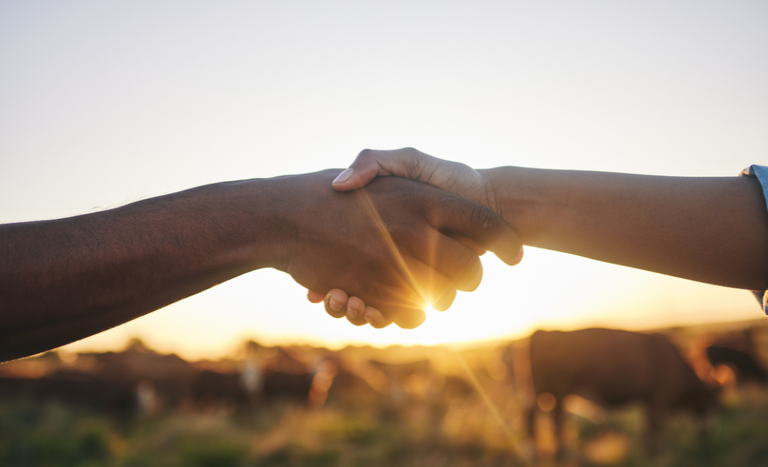 Governo Federal Anuncia Medida Provisória para Desconto e Renegociação de Dívidas Bancárias de Produtores Rurais do Rio Grande do Sul