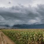 Previsão do Tempo: chuvas e temporais no Sul e Sudeste, calor e seca no Centro-Oeste e Nordeste
