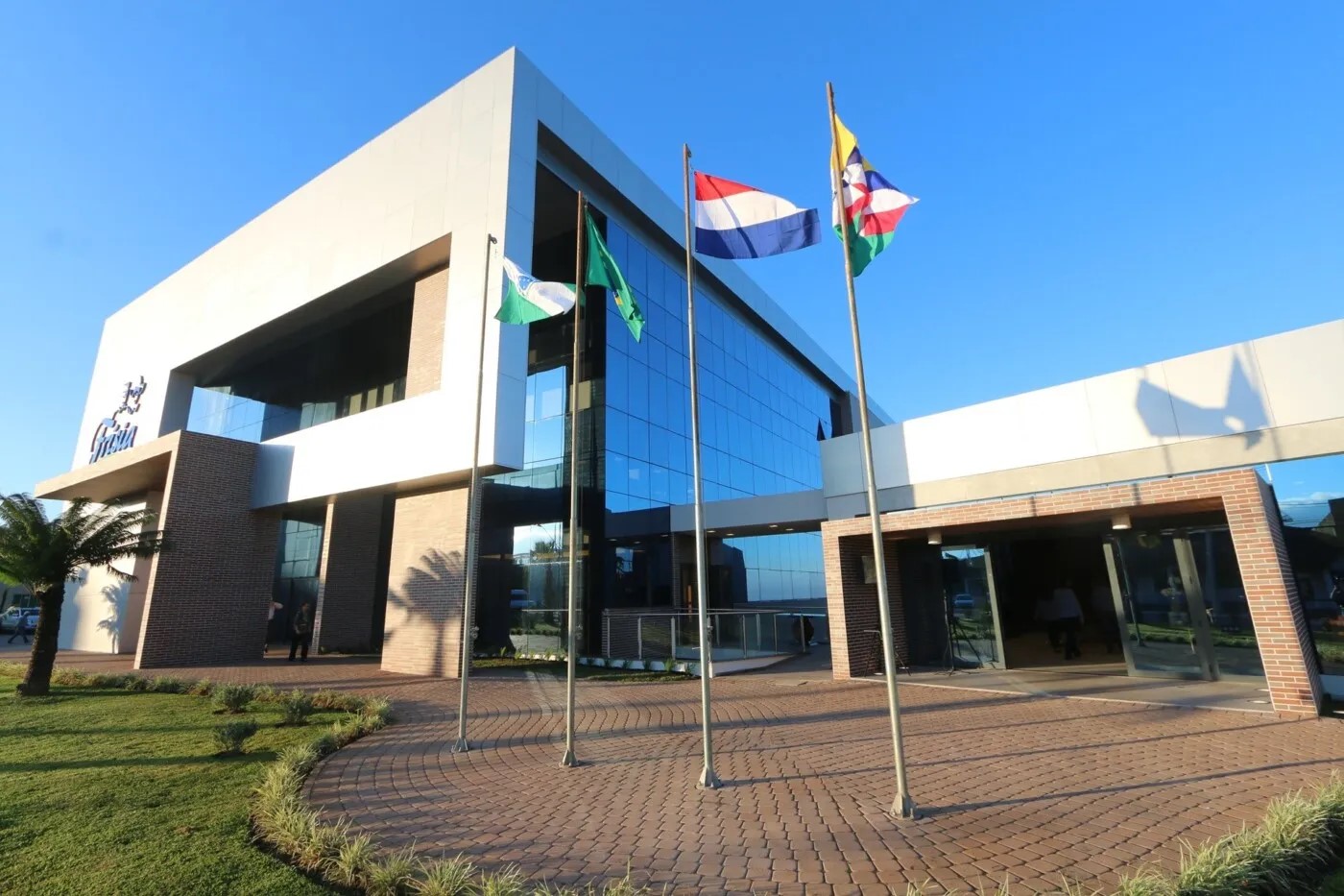 Cooperativa Frísia adota inteligência artificial para modernizar gestão e atendimento Cooperativa Frísia adota inteligência artificial para modernizar gestão e atendimento