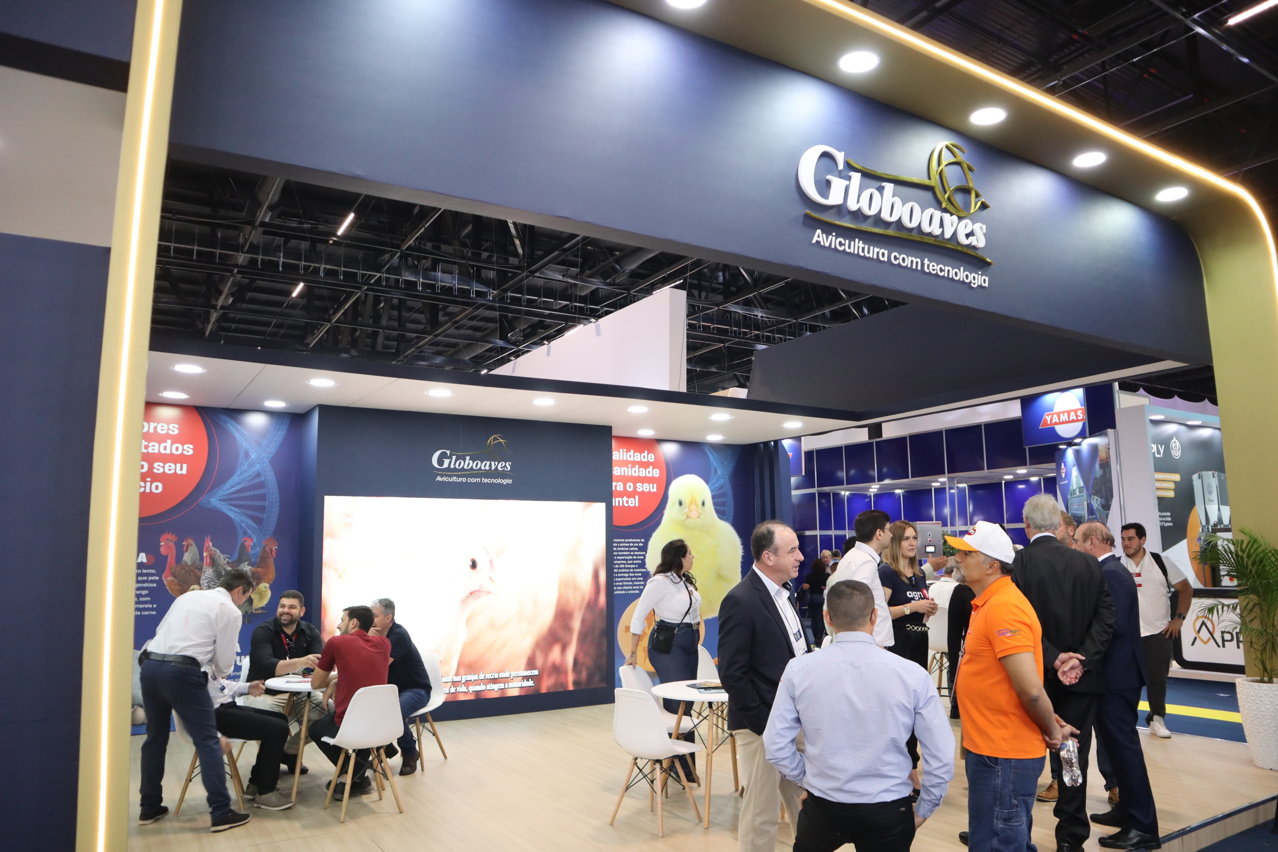 Roberto Kaefer fala sobre o mercado de pintinhos de um dia e ovos férteis Roberto Kaefer fala sobre o mercado de pintinhos de um dia e ovos férteis