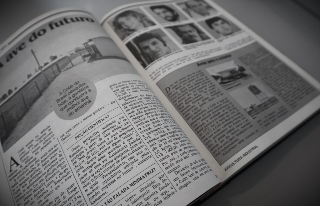 #TBTAgrimidia: Perspectivas promissoras da Cobb em 1981 na Revista Avicultura Industrial