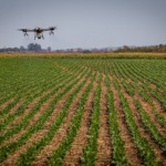 CNA aponta China na liderança de vendas de fertilizantes para o Brasil