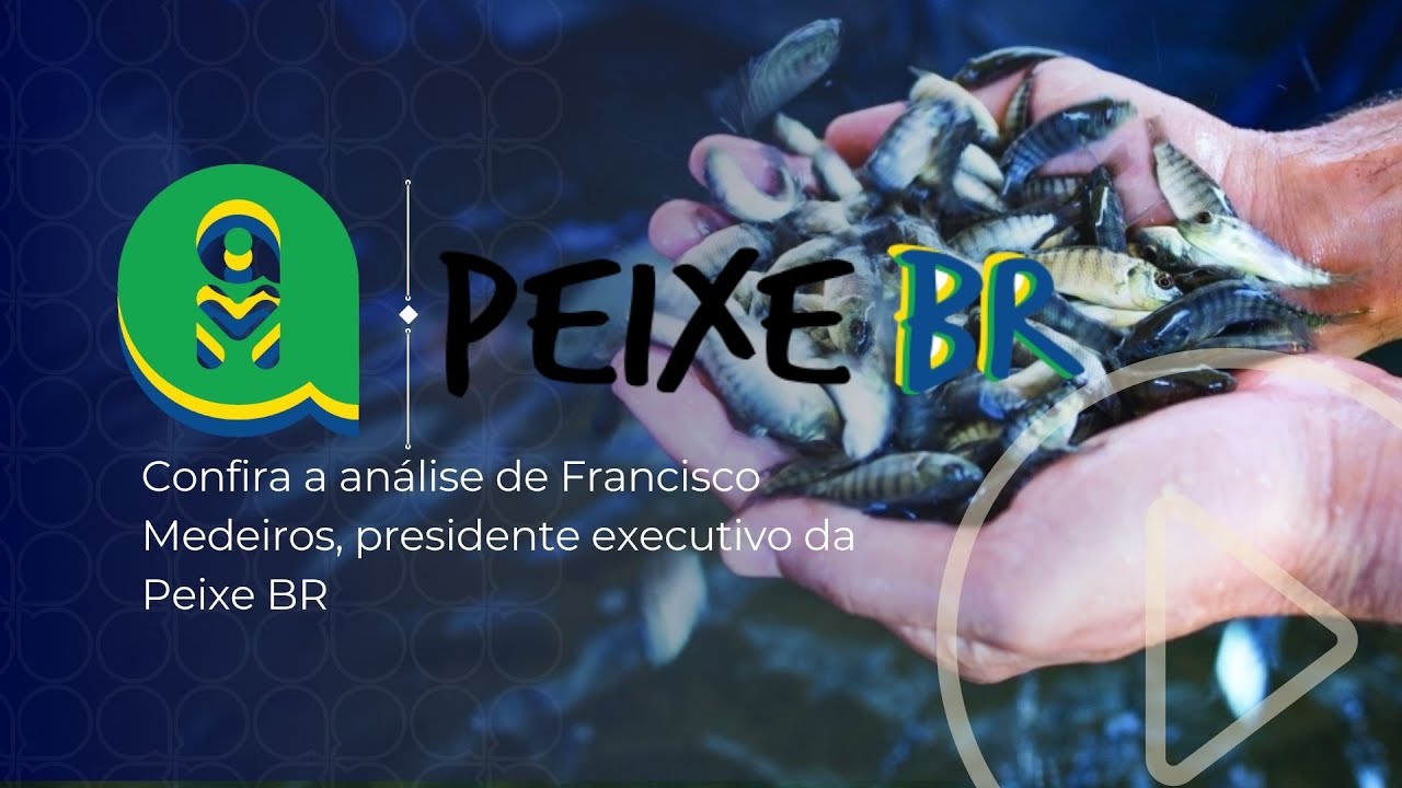 Preços da Tilápia mantêm queda em Agosto, mas cenário pode melhorar em Setembro; segundo Peixe BR