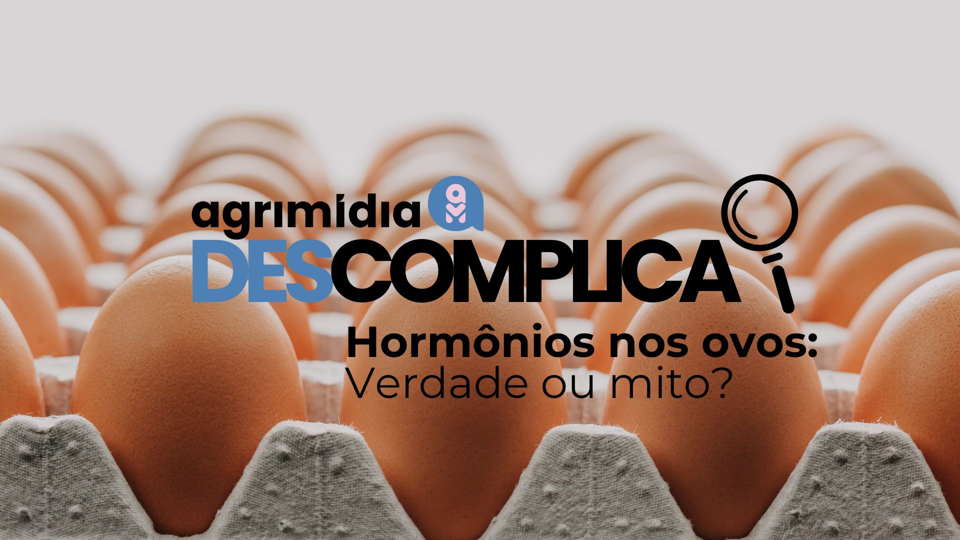 Agrimidia Descomplica: Hormônios nos ovos é verdade ou mito?