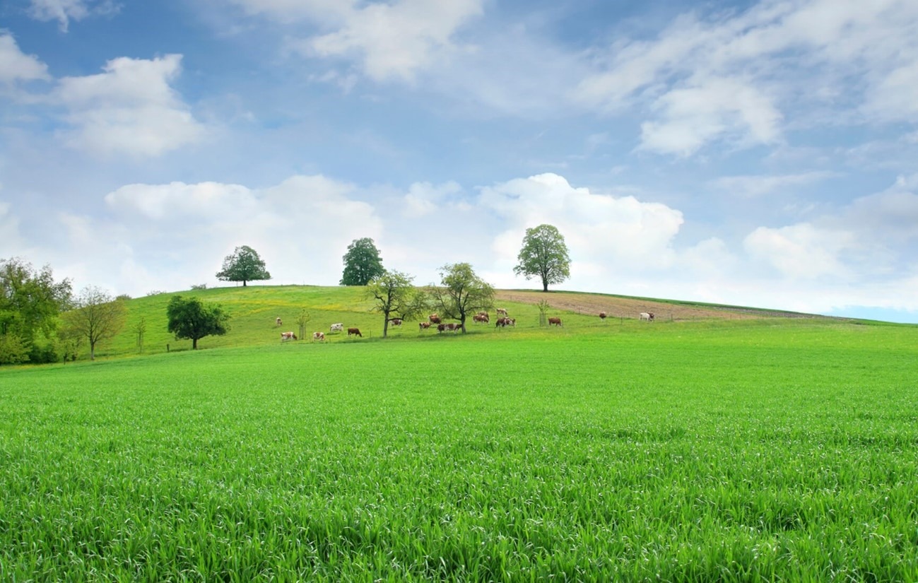 Estudo da USP revela impacto da agricultura “climaticamente inteligente” na redução de emissões no Brasil