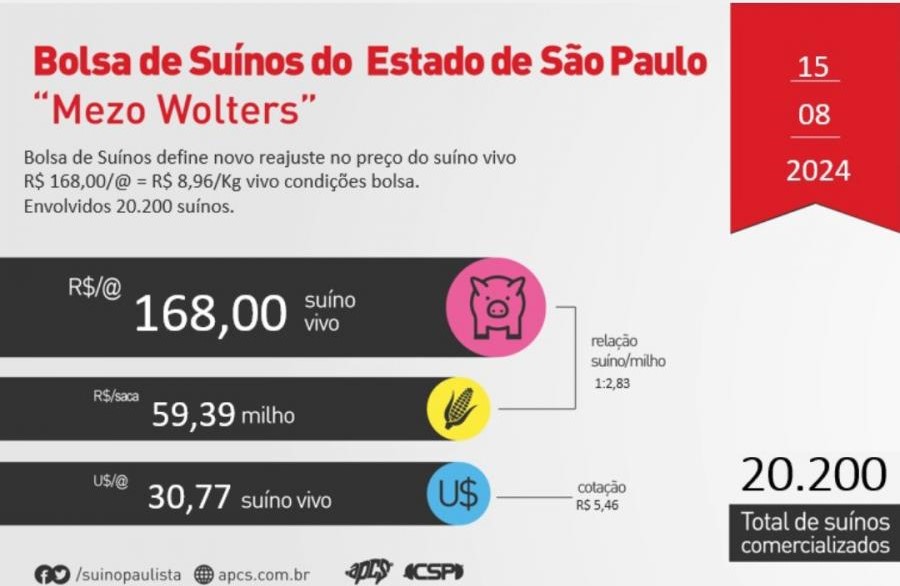 Trajetória de alta para os preços segue forte na Suinocultura independente