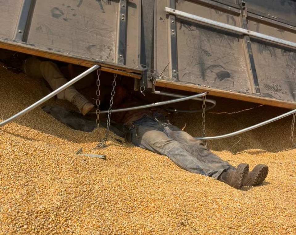 Trabalhador sobrevive após ser soterrado por carreta de milho em Lindoeste-PR Trabalhador sobrevive após ser soterrado por carreta de milho em Lindoeste-PR
