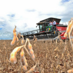 Ritmo de semeadura da soja 2025/26 atrasado gera incerteza no potencial produtivo