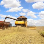 Soja - colheita. Fotos:Jaelson Lucas / Arquivo AEN