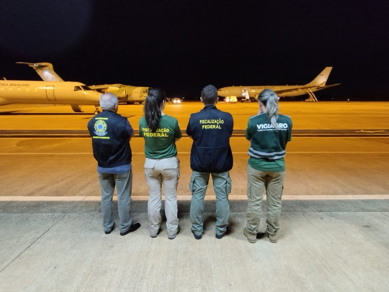 Com déficit de auditores agropecuários, aeroportos brasileiros enfrentam desafios na fiscalização de produtos de origem animal e vegetal
