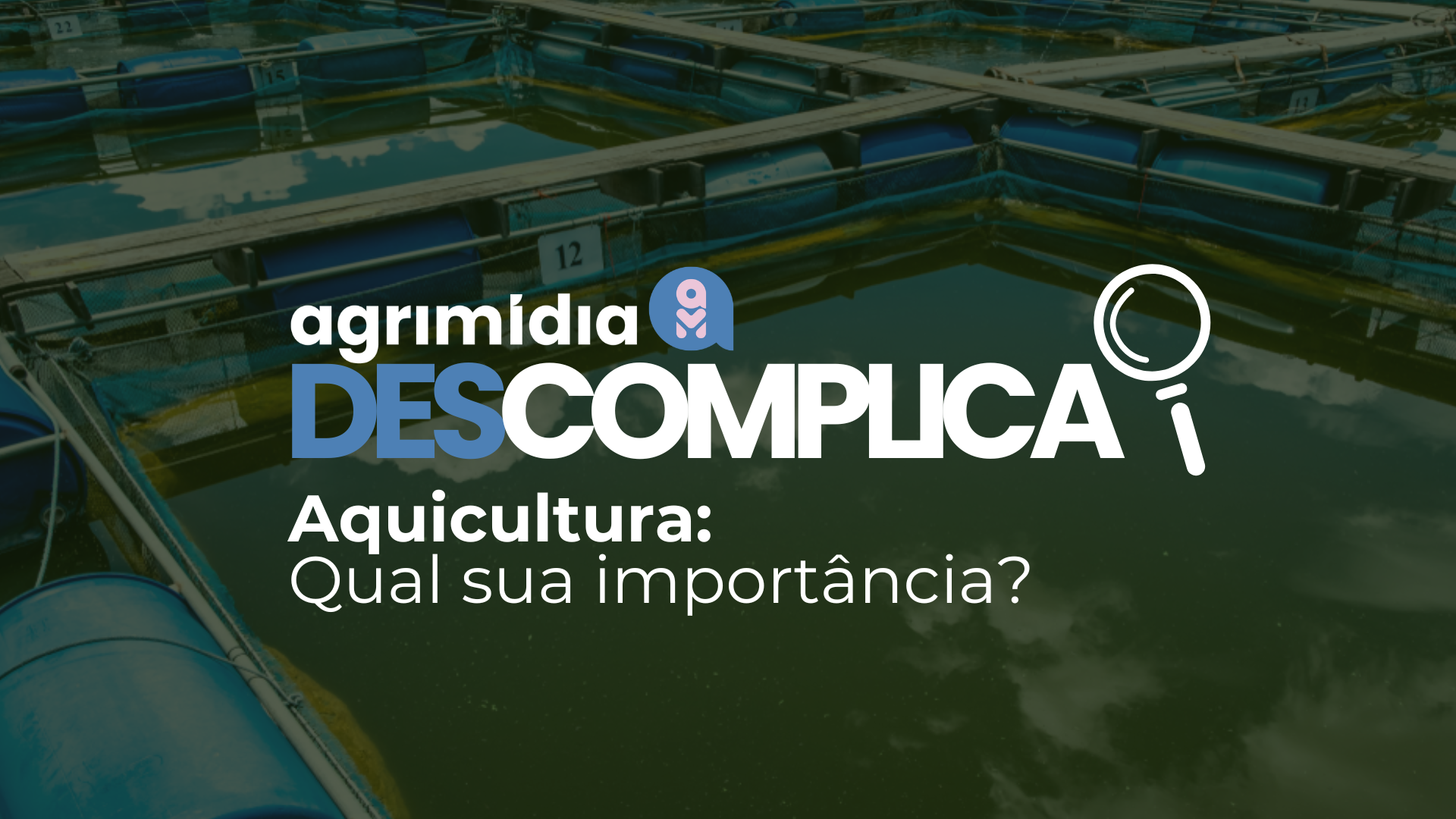 Agrimidia Descomplica: o que é aquicultura e qual sua importância?