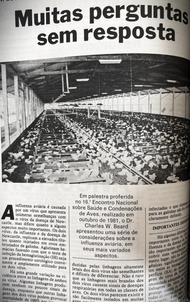 #TBT Agrimidia: o desafio da Influenza Aviária na avicultura mundial no passado