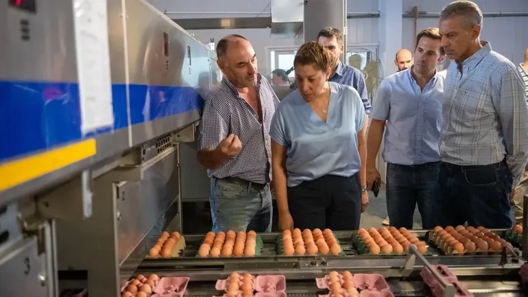 Empresa avícola argentina encerra operações após efeitos devastadores da Influenza Aviária Empresa avícola argentina encerra operações após efeitos devastadores da Influenza Aviária