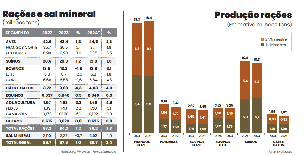 Sindirações: Desempenho durante primeiro semestre