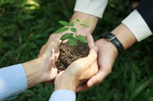Pamplona Alimentos recebe reconhecimento de sustentabilidade por reduzir emissão de CO2 em mais de 119 mil toneladas