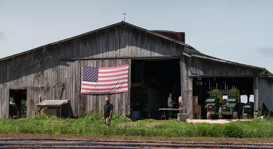 Disputa presidencial nos EUA e futuro na agropecuária global Disputa presidencial nos EUA e futuro na agropecuária global