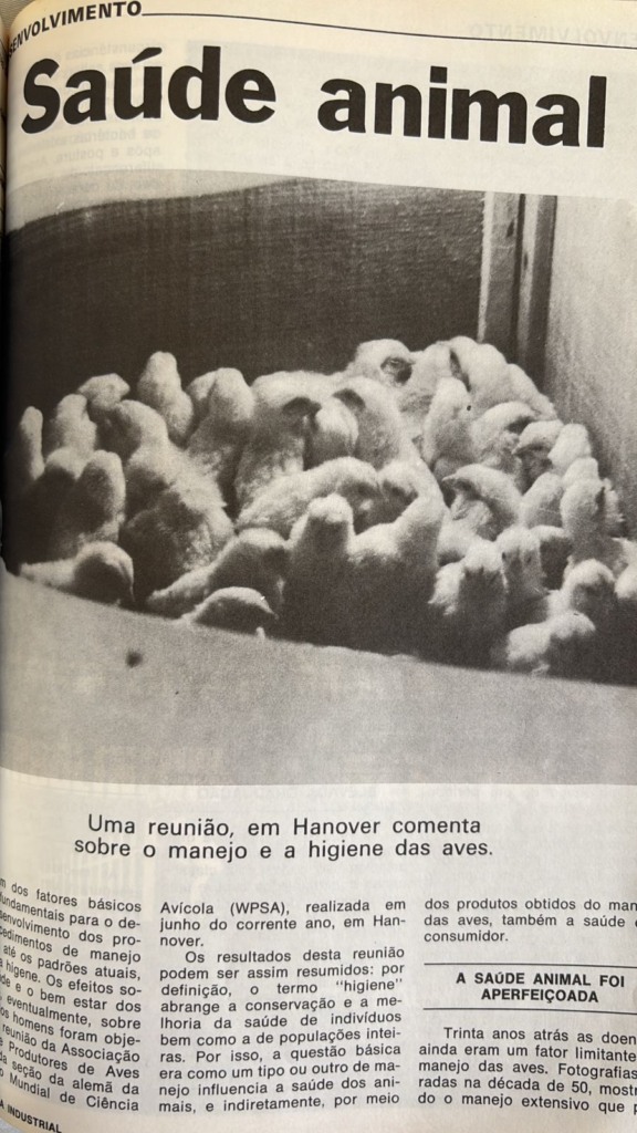 #TBT Agrimidia: Evolução dos padrões de manejo e higiene na avicultura em 1983
