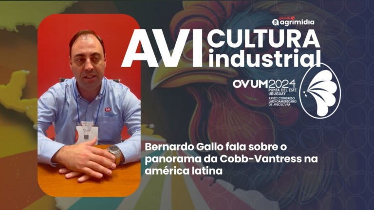 Cobb celebra liderança genética e destaca crescimento na avicultura latino-americana durante OVUM 2024