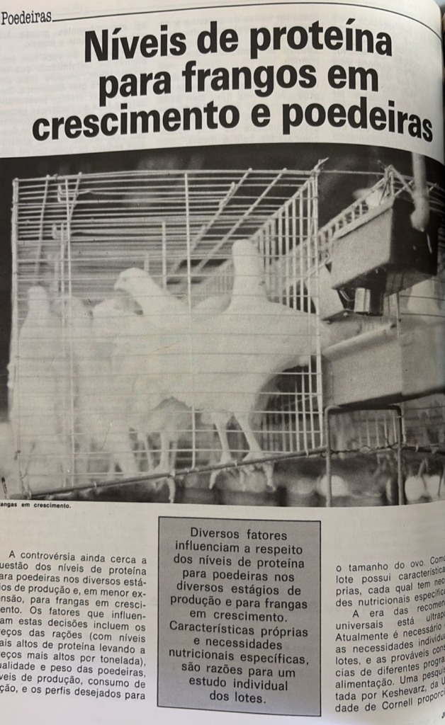 #TBT Agrimidia: “Níveis de proteína para frangos em crescimento e poedeiras” em 1987