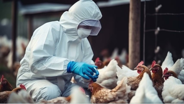 Acordo Mercosul-UE, Lupion reeleito, crise ambientais e mais; fique por dentro de tudo que rolou no agro nesta semana 