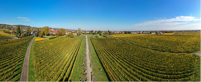 Cargos ligados à digitalização e sustentabilidade vão movimentar mercado de trabalho do agronegócio em 2025, aponta consultoria Cargos ligados à digitalização e sustentabilidade vão movimentar mercado de trabalho do agronegócio em 2025, aponta consultoria