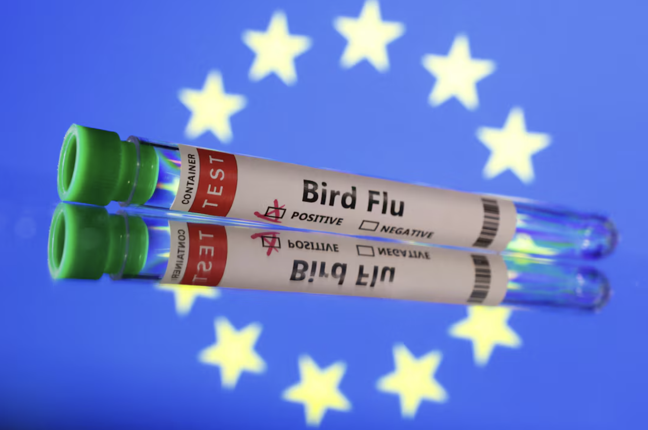 Gripe Aviária: UE monitora variantes com potencial de ameaça humana Gripe Aviária: UE monitora variantes com potencial de ameaça humana
