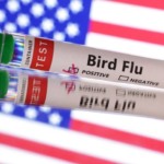 Alerta nos EUA: USDA confirma Influenza Aviária em lotes comerciais de Maryland, Arkansas e Kansas