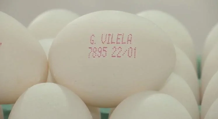 Informações impressas na casca do ovo: a importância da rastreabilidade dos alimentos
