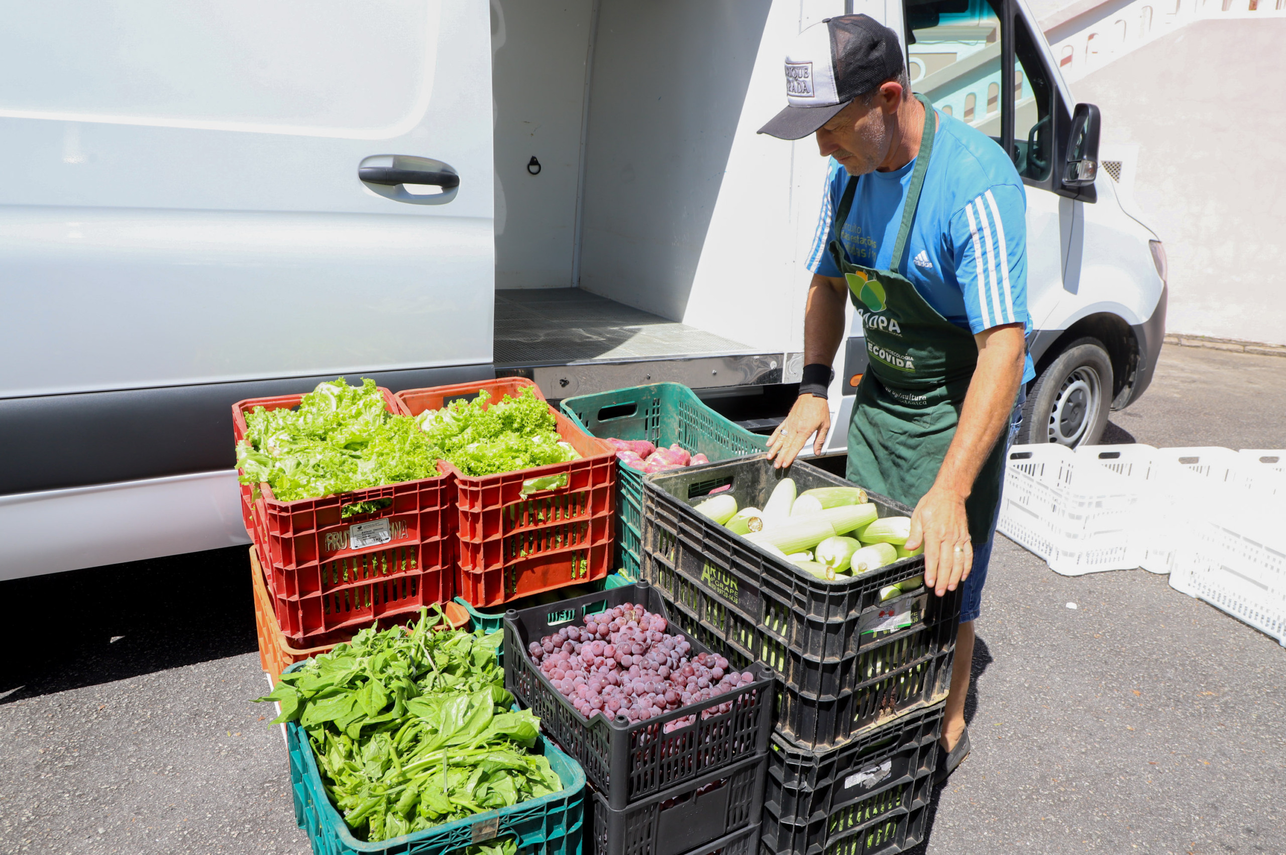 Governo do Paraná amplia programa de compra de alimentos para a agricultura familiar
