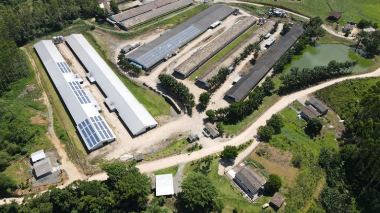 70% das granjas da Seara já utilizam energia solar 70% das granjas da Seara já utilizam energia solar