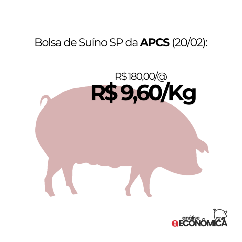 Análise econômica Suinocultura: preços disparam e exportações recordes alimentam expectativas positivas