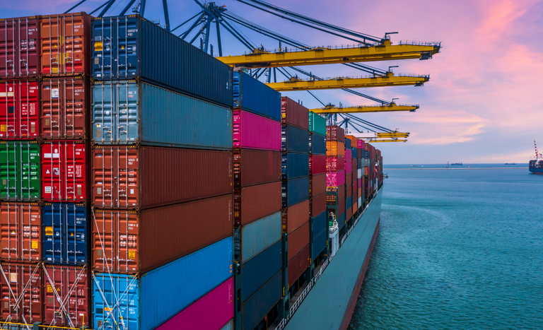 Exportação de produtos de peixe do Brasil para a Bolívia é aprovada