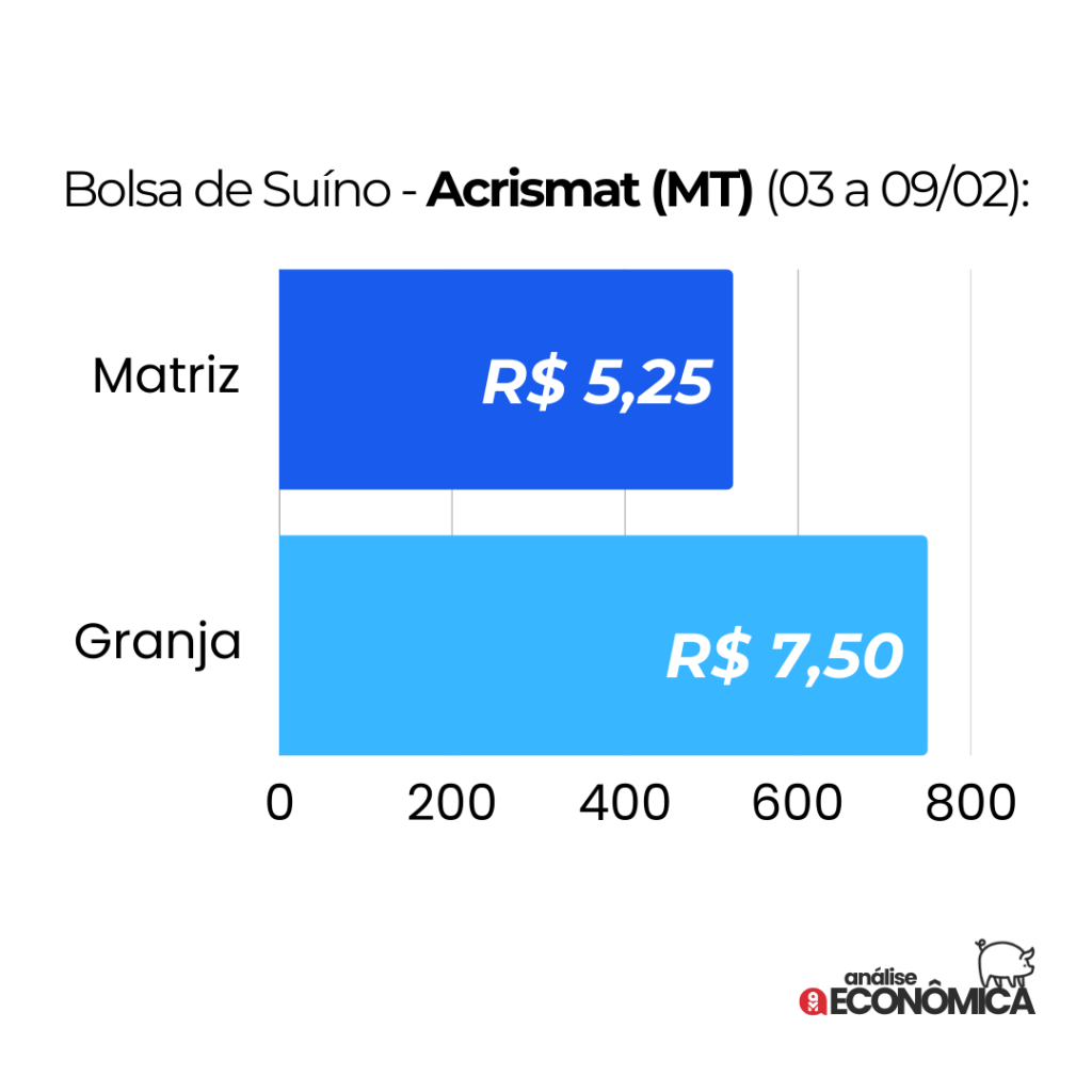 Análise econômica Suinocultura: expectativa do mercado com preços em queda livre no mês de janeiro