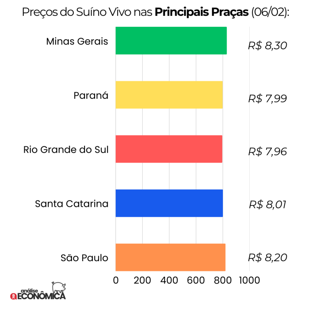 Análise econômica Suinocultura: expectativa do mercado com preços em queda livre no mês de janeiro