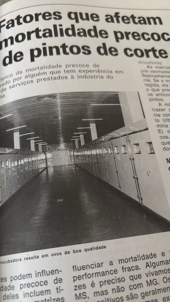#TBT Agrimidia: Fatores que impactam a mortalidade de pintos de corte, em 1987 #TBT Agrimidia: Fatores que impactam a mortalidade de pintos de corte, em 1987