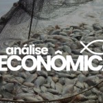 Preços da tilápia oscilam no início de agosto, aponta Cepea