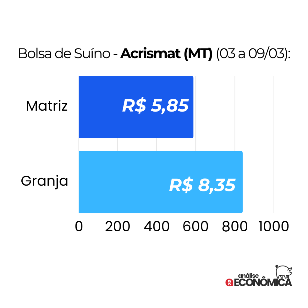 Análise econômica Suinocultura: preços divergentes e desafios no mercado da carne