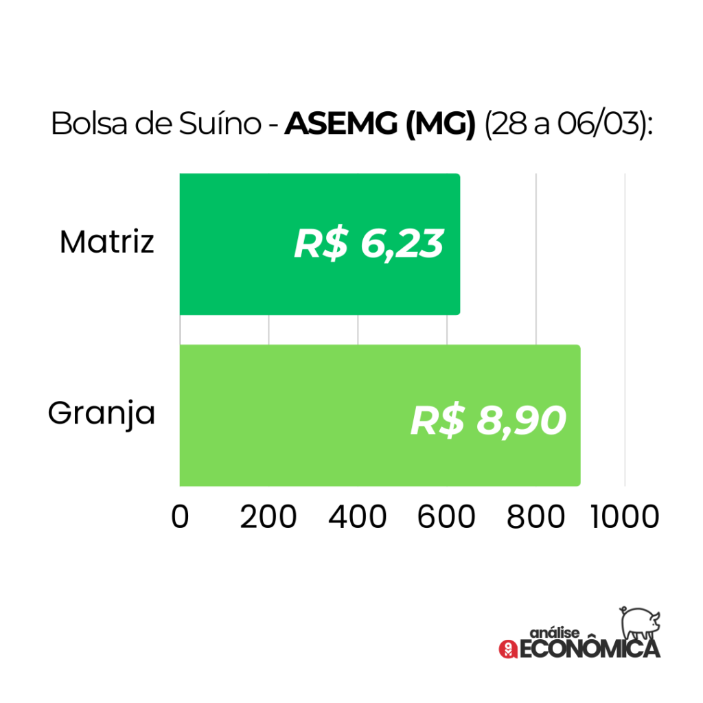 Análise econômica Suinocultura: preços divergentes e desafios no mercado da carne