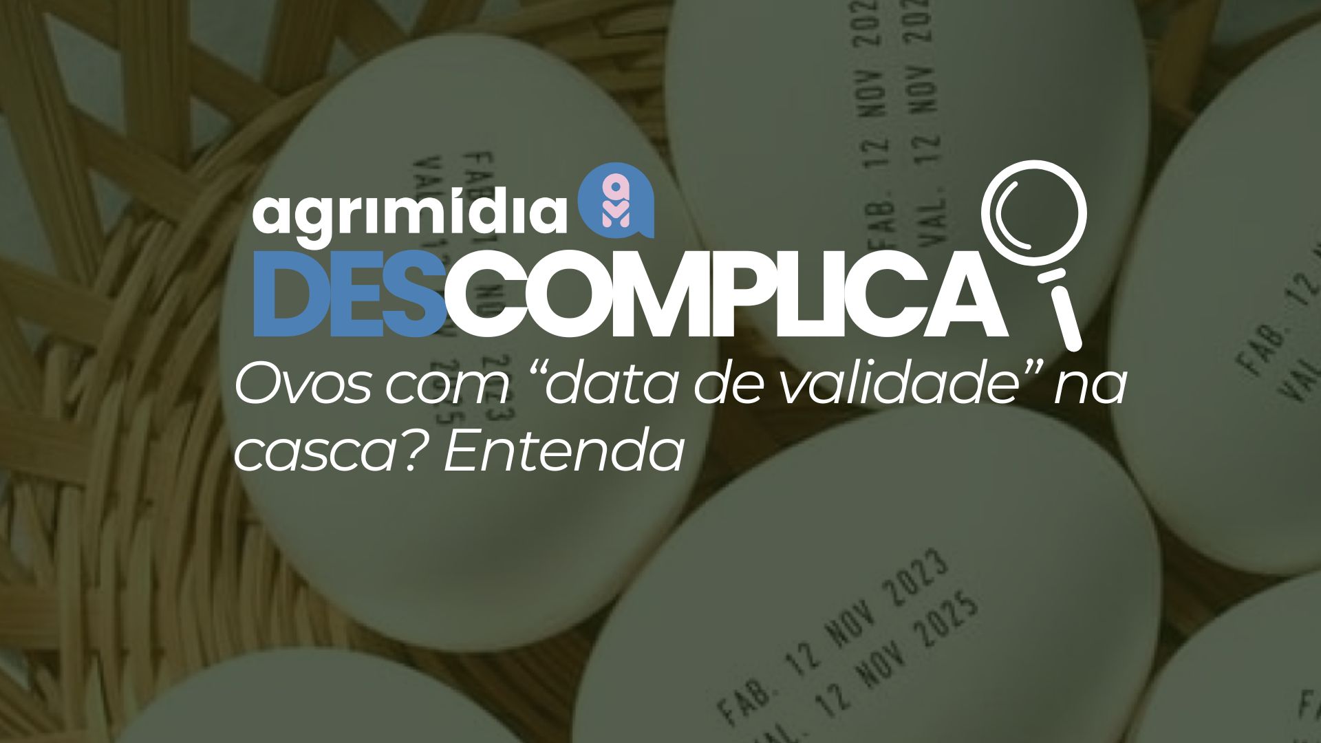 Agrimidia Descomplica: Ovos com “data de validade” na casca? Entenda a nova regra que vai revolucionar o mercado avícola a partir de setembro