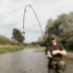 Governo lança selo de origem para valorizar pescado artesanal e abrir novos mercados Governo lança selo de origem para valorizar pescado artesanal e abrir novos mercados