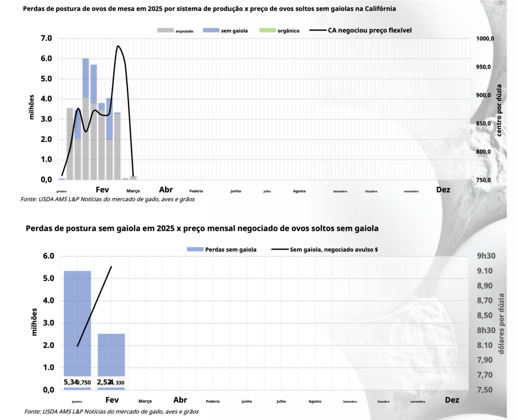 Mercado de ovos nos EUA: preços caem em meio a preocupações com Influenza Aviária e estoques crescentes