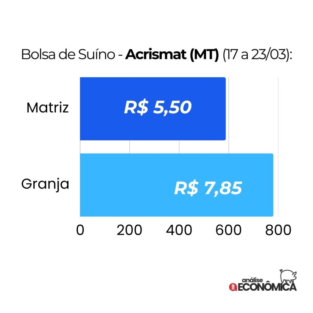 Análise econômica Suinocultura: queda nos preços internos e recorde nas exportações marcam a semana