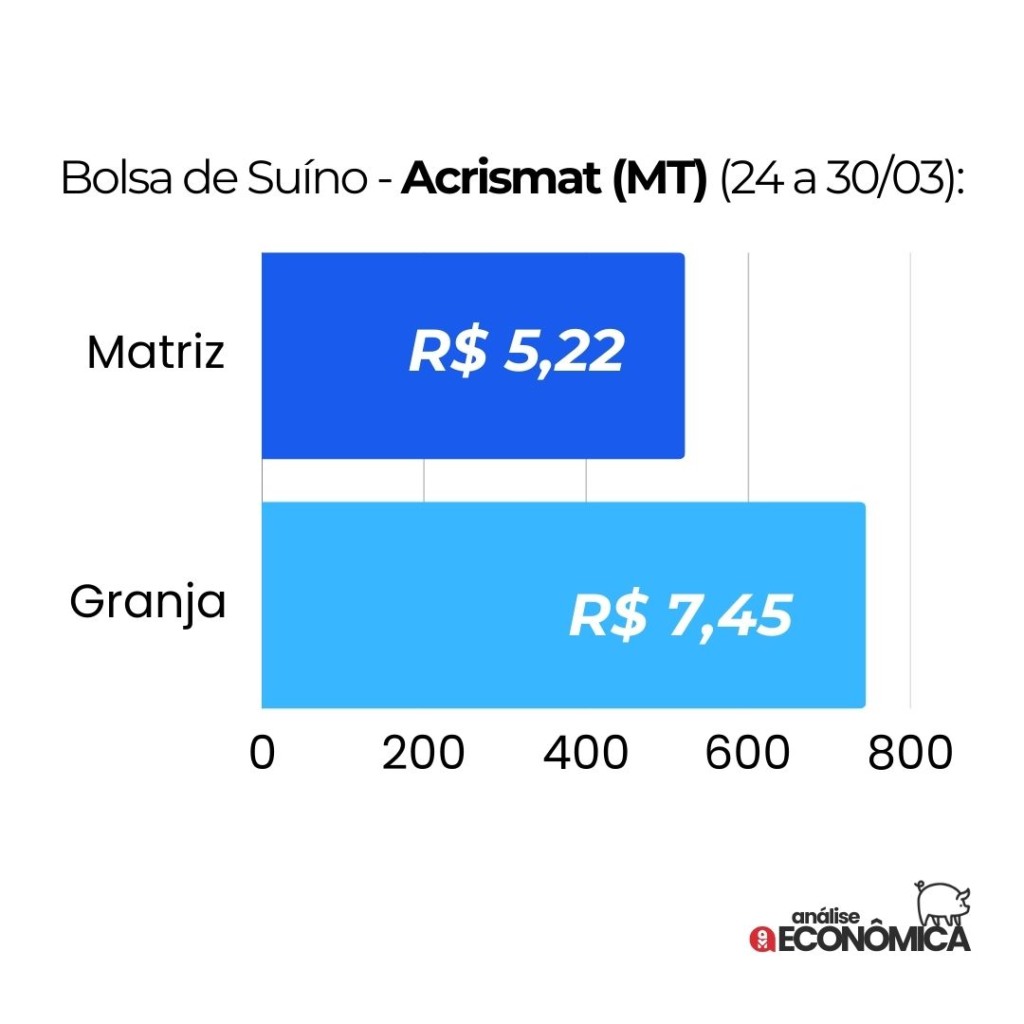 Análise econômica Suinocultura: milho em alta, suíno vivo em queda e exportações em recorde