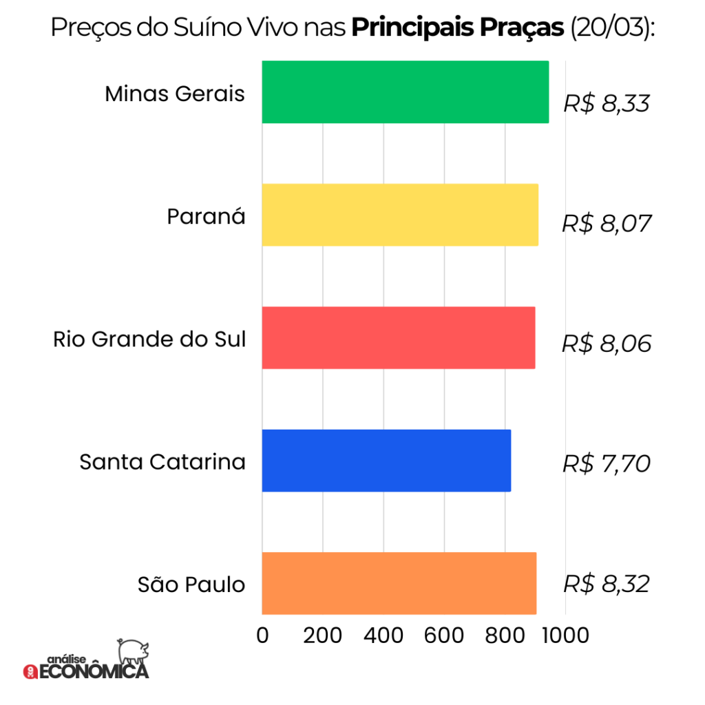 Análise econômica Suinocultura: milho em alta, suíno vivo em queda e exportações em recorde