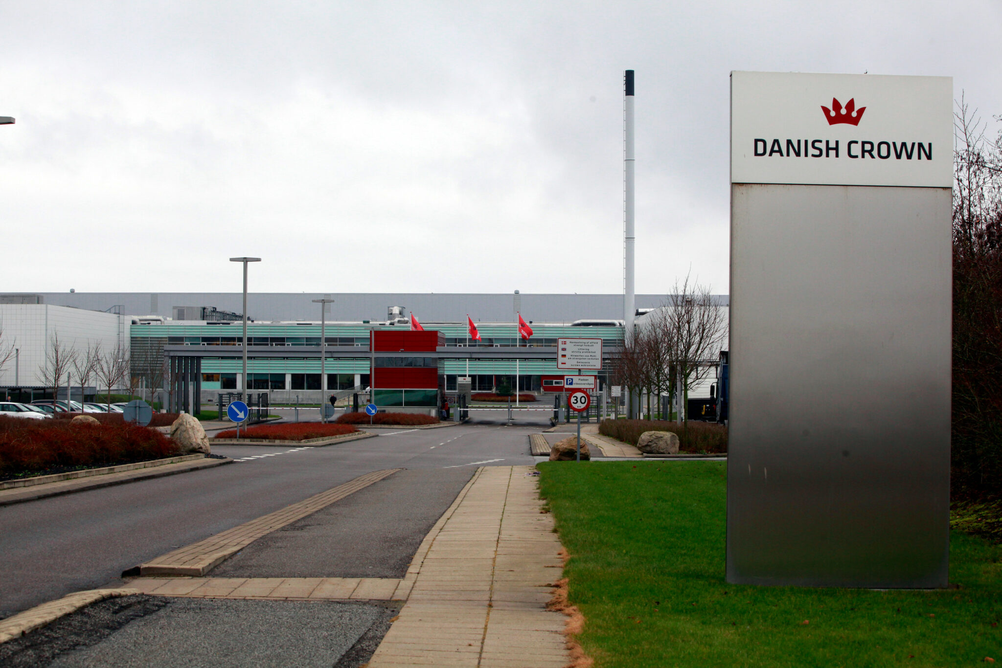 Gigante dinamarquesa de suínos encerra operações após 6 anos de desafios