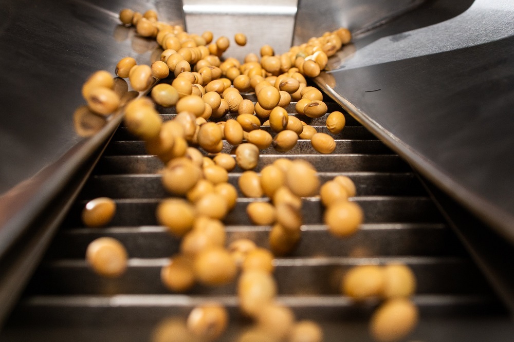 Safra 2025/26: previsão de desafios para a soja diante da tendência de alta nos custos de produção Safra 2025/26: previsão de desafios para a soja diante da tendência de alta nos custos de produção